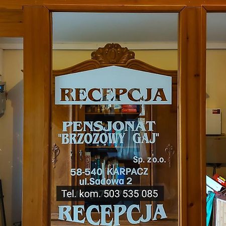 Brzozowy Gaj - Pensjonat Karpacz Buitenkant foto