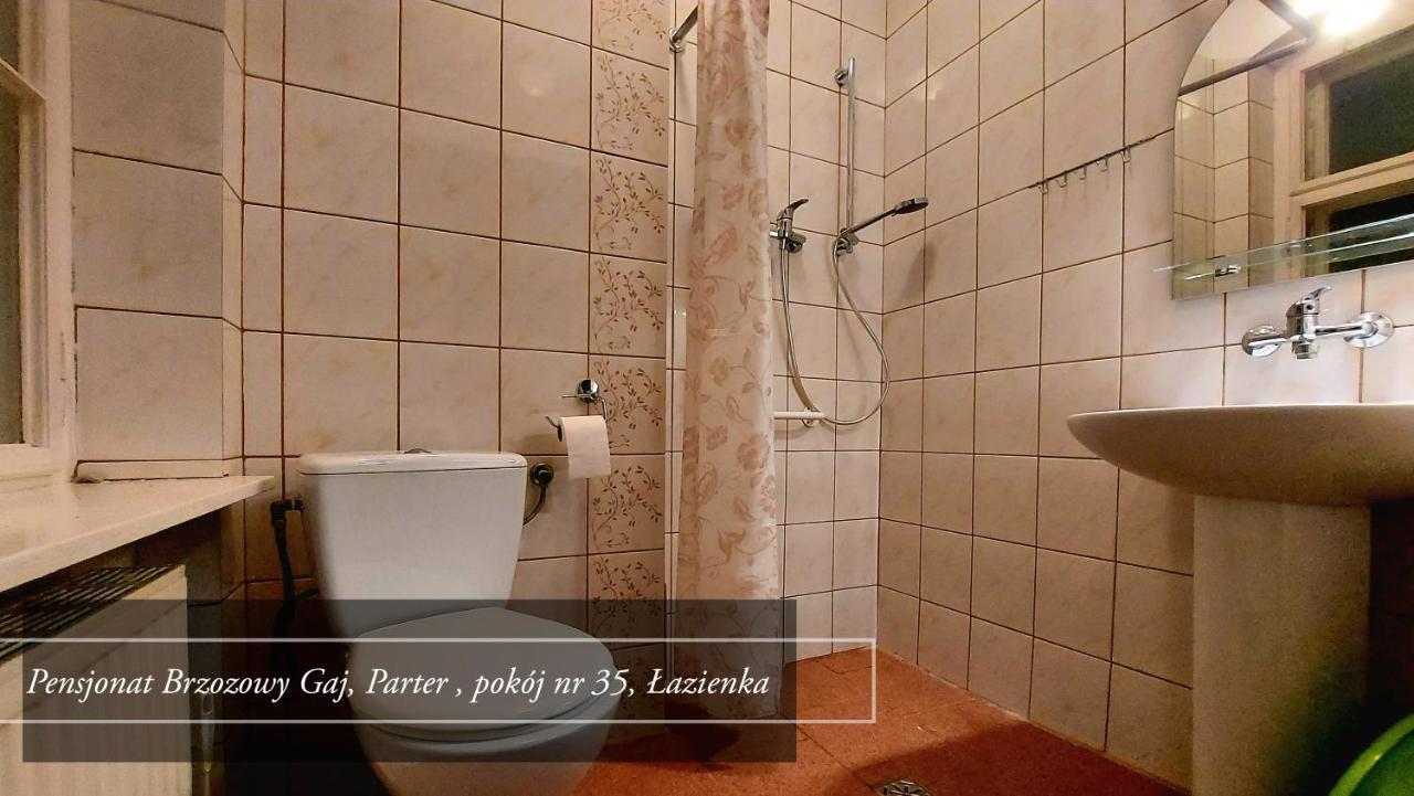 Brzozowy Gaj - Pensjonat Karpacz Buitenkant foto