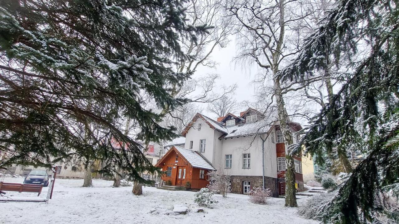 Brzozowy Gaj - Pensjonat Karpacz Buitenkant foto
