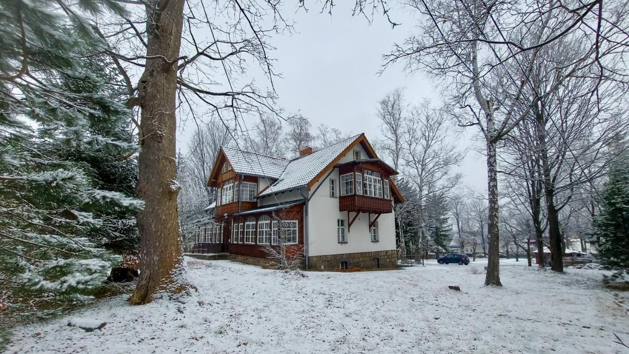 Brzozowy Gaj - Pensjonat Karpacz Buitenkant foto